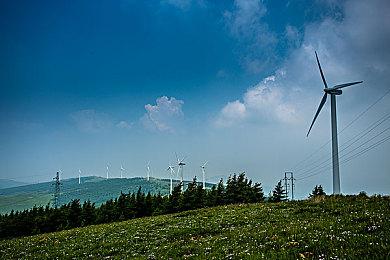 《飙酷车神：轰鸣盛典》新车超80款 将收录保时捷和尼桑电车